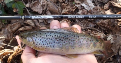 Трудните пъстърви